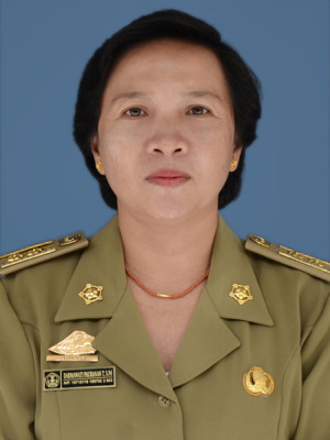 Darmawati Pauranan Toding Allo, S.Pd.